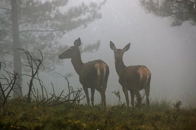 Lousa Mountain Private Tour - Key things you’ll notice on this Lousã Mountain tour