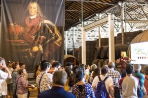 MagicTrain Tour and Port Wine Cellar Visit & Tasting - First stop on wheels: what the Magic Train ride is like