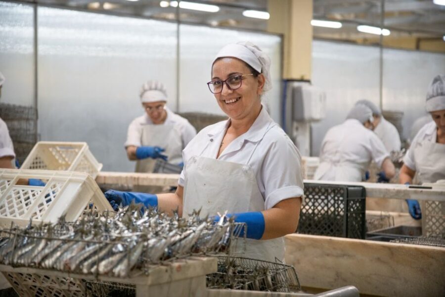 Matosinhos: Conservas Pinhais Factory Tour - Key highlights to look for