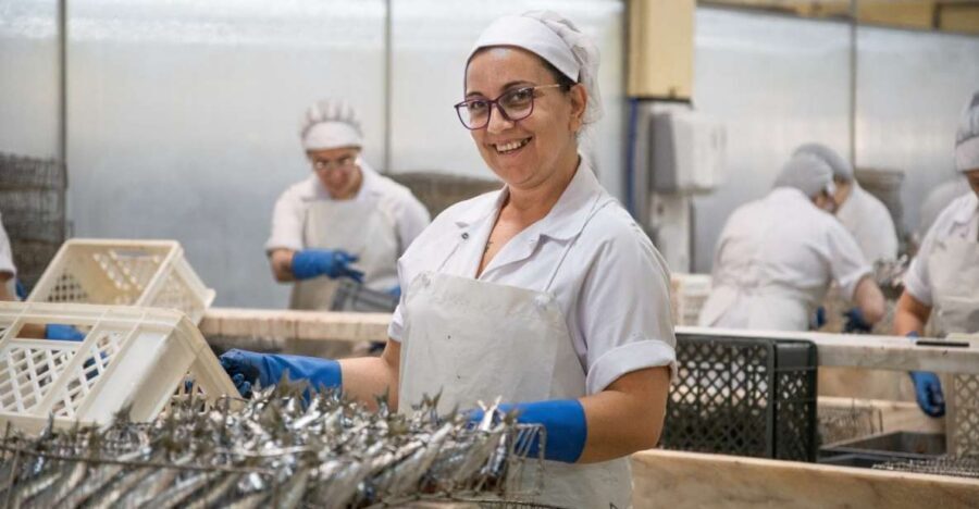 Matosinhos: Conservas Pinhais Factory Tour - Finding the Conservas Pinhais tour and what to do first