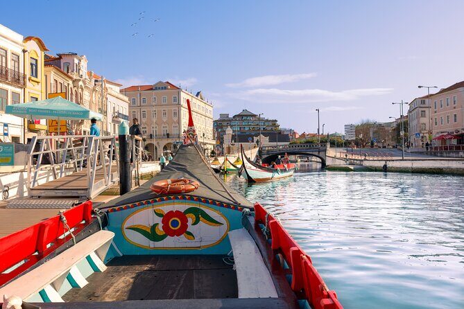 Moliceiro Boat Tour on the Ria de Aveiro - Key things you’ll notice on this tour