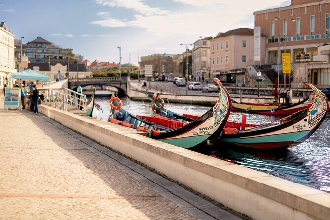 Moliceiro Boat Tour on the Ria de Aveiro - Practical logistics: mobile tickets, group size, and what to watch for