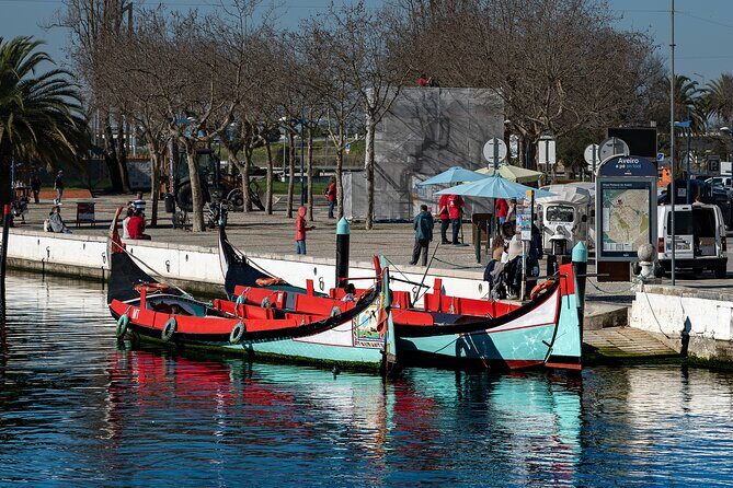 Moliceiro Boat Tour on the Ria de Aveiro - Who should book this Moliceiro boat tour?