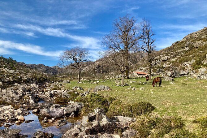 Peneda-Gerês Hiking & Sightseeing: Private Experience - The Little Things That Make the Day Go Smoothly