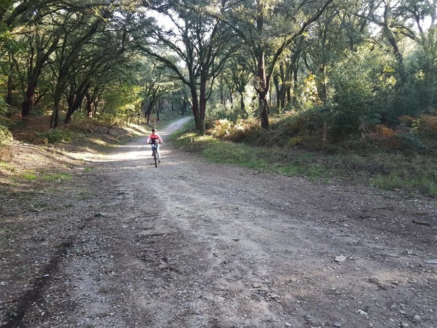 Peneda Gerês National Park: Self-Guided Electric Bike Tour - Key things you’ll notice on this e-bike ride