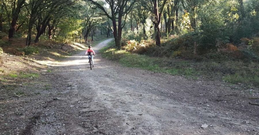 Peneda Gerês National Park: Self-Guided Electric Bike Tour - Ermelo Monastery to the Push Toward Soajo
