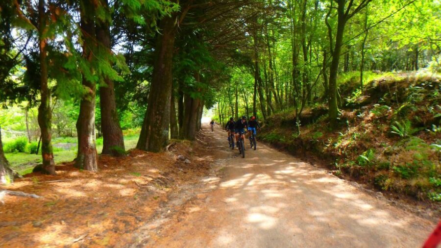 Peneda Gerês National Park: Self-Guided Electric Bike Tour - Soajo’s Granaries, Crafts, and the Goat Dish People Talk About