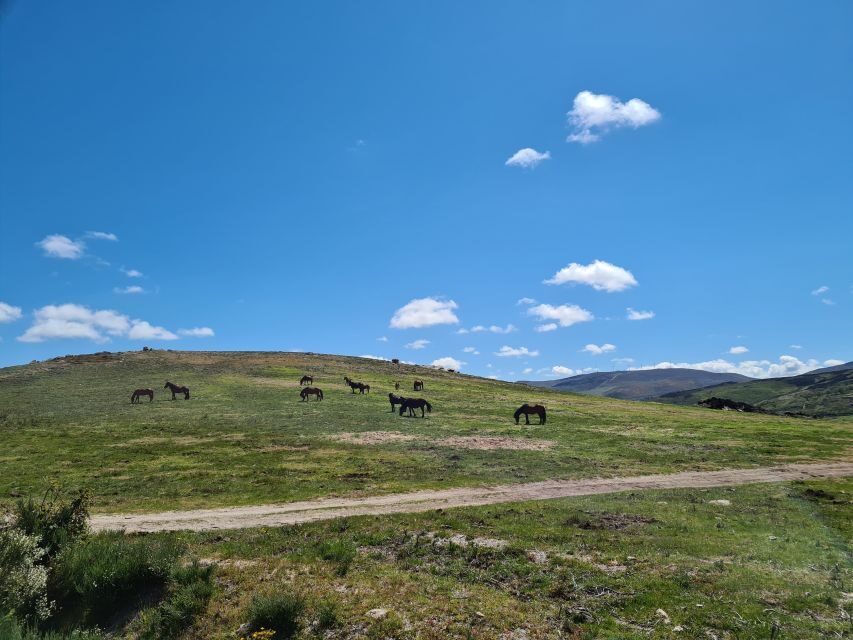 Peneda Gerês National Park: Self-Guided Electric Bike Tour - Tobogã Base to the Lima River: Getting Into the Park