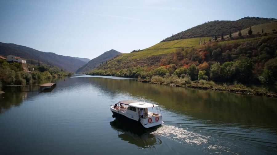 Pinhão: 1 Hour SUNSET Cruise with Sparkling Wine - What You’ll See on the Douro: Terraced Vineyards and Estate Views