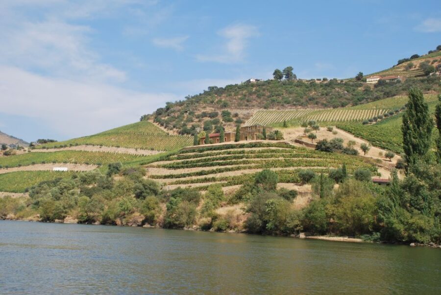 Pinhão: 2-Hour Rabelo Boat Tour with Audio Guide - Key Things You’ll Notice On This Douro Rabelo Cruise