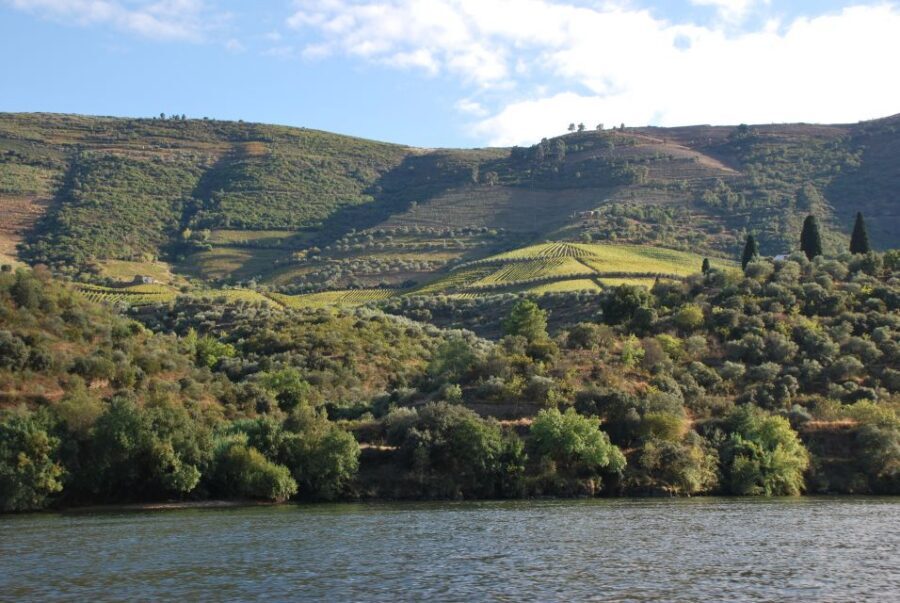 Pinhão: 2-Hour Rabelo Boat Tour with Audio Guide - FAQ