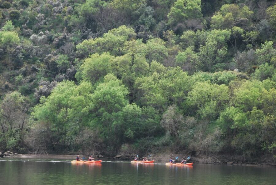 Pinhão: 4 Hour Douro Valley Kayak Rental - Pinhão’s Magnifico Douro Pier: where your paddle starts