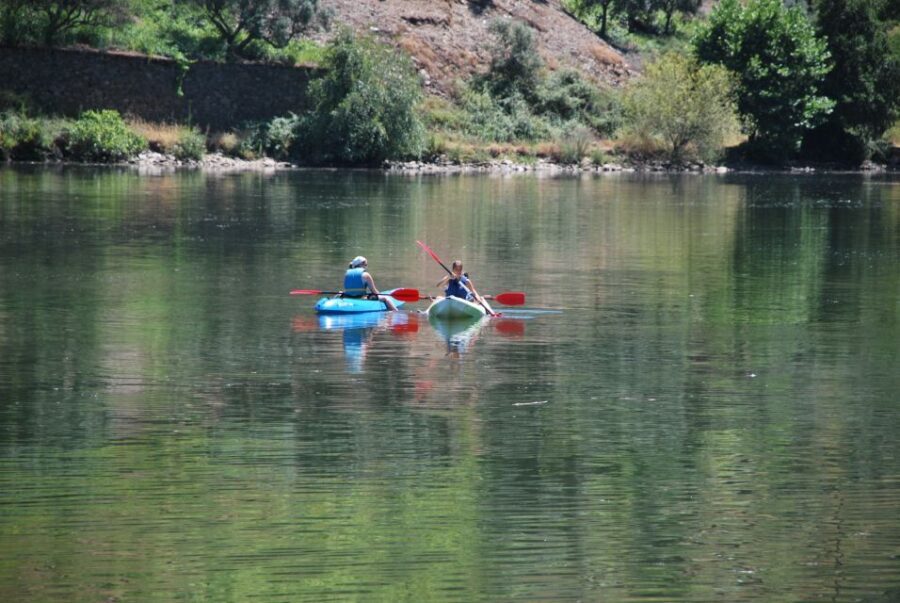 Pinhão: 4 Hour Douro Valley Kayak Rental - Ocean Kayak Malibu II XL: comfort, capacity, and the small learning curve