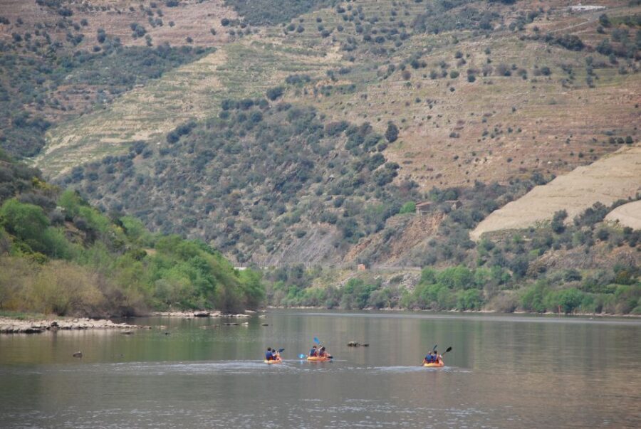 Pinhão: 4 Hour Douro Valley Kayak Rental - Duoro traffic and how to keep the ride peaceful