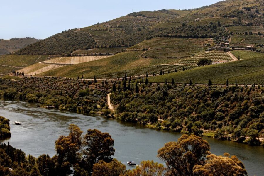 Pinhão: Douro River Boat Tour with Lunch - The return by train to Pinhão: scenic rail without the stress