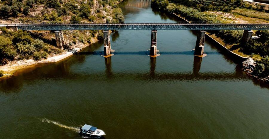 Pinhão: Douro River Boat Tour with Lunch - From the Deltatur Pier to the boat: what you’ll do first