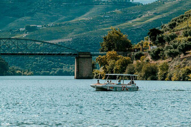 Pinhão: Electric Boat Experience 1h - Taste of Two Wines - A solar boat on the Douro: why it feels calmer