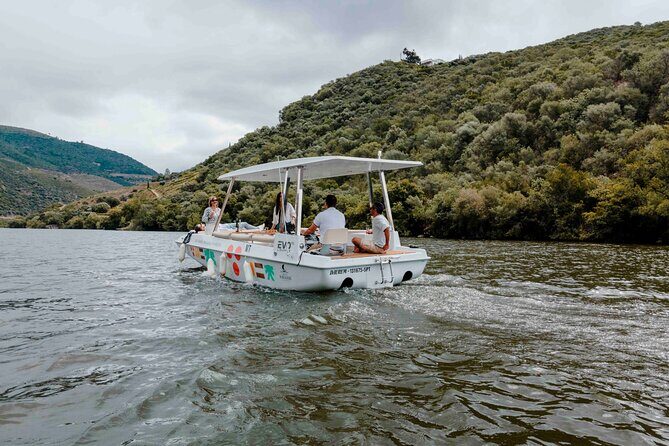Pinhão: Electric Boat Experience 1h - Taste of Two Wines - Who should book this Douro solar cruise