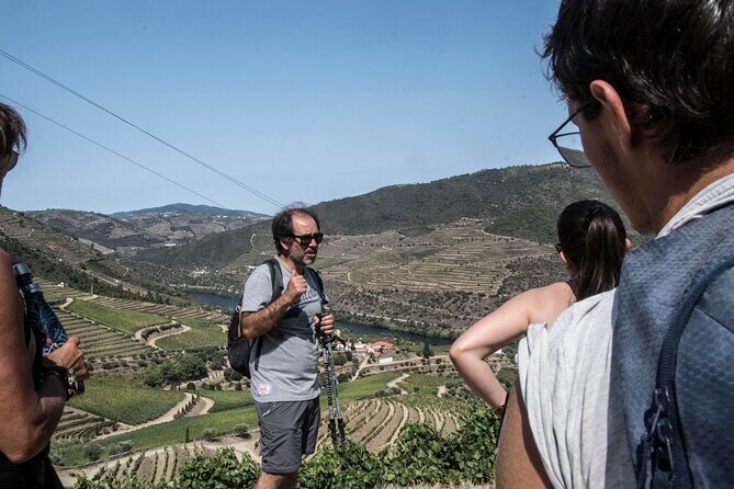 Pinhão Hiking Tour - Key highlights to plan your day