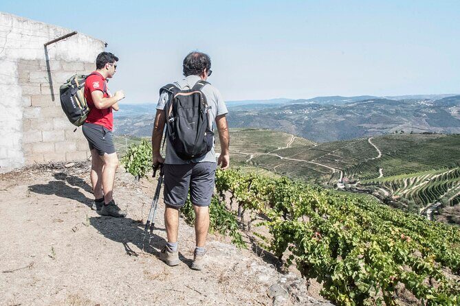 Pinhão Hiking Tour - Casal de Loivos Viewpoint: the Douro in waves