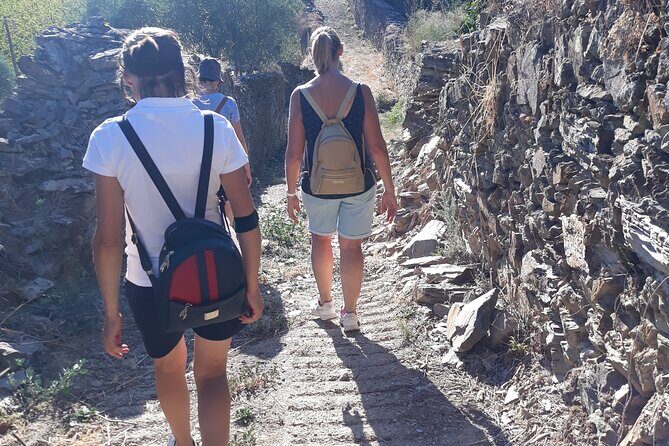 Pinhão Hiking Tour - Picnic by the river: the best part of the day