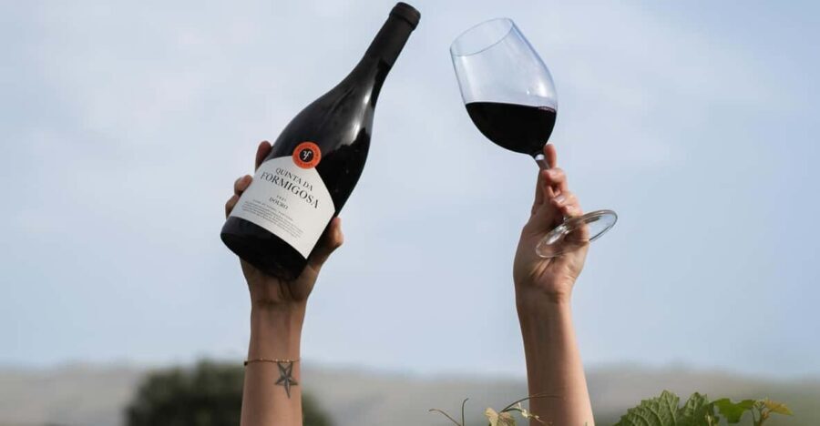Pinhão: Quinta da Formigosa Vineyard Tour and Wine Tasting - Key things that make this tour worth your time