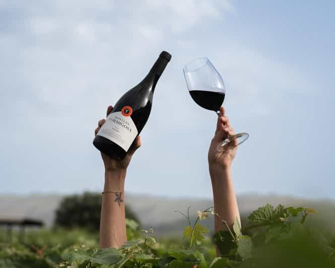 Pinhão: Quinta da Formigosa Vineyard Tour and Wine Tasting - Getting there from Pinhão: the no-stress drive plan