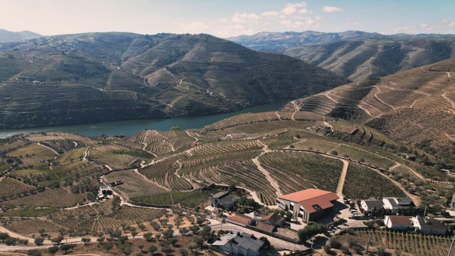 Pinhão: Quinta da Formigosa Vineyard Tour and Wine Tasting - Stop 2: Inside the winery—watch how grapes become wine (about 30 minutes)