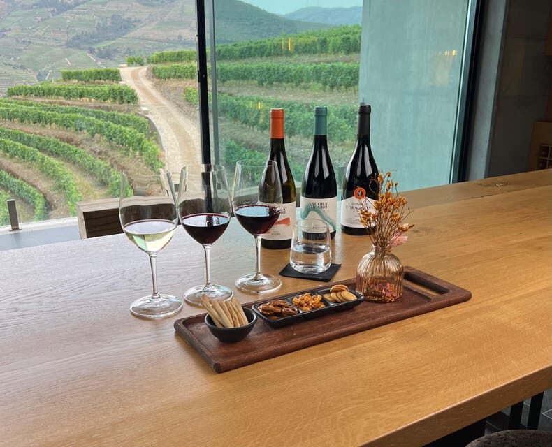 Pinhão: Quinta da Formigosa Vineyard Tour and Wine Tasting - Stop 3: The tasting room with Douro River views (about 45 minutes)