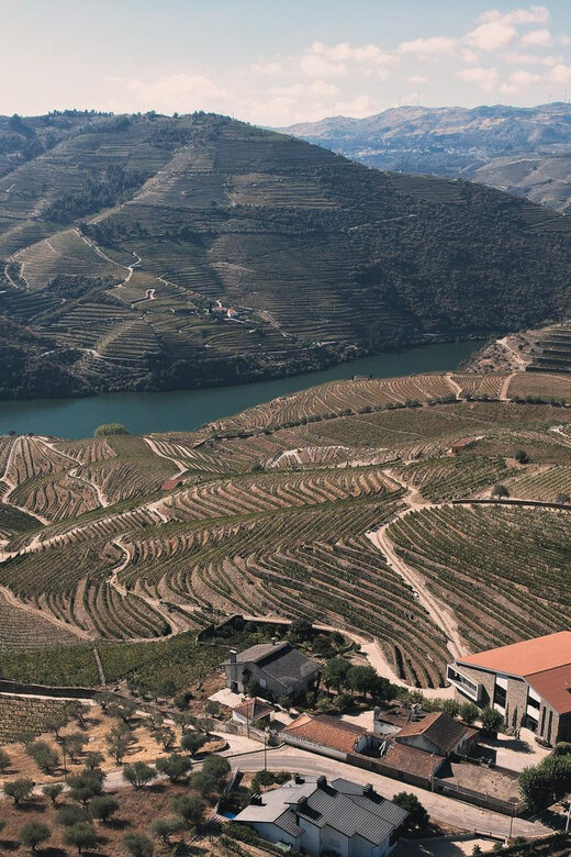 Pinhão: Quinta da Formigosa Vineyard Tour and Wine Tasting - What to expect with the guide (Ruben, Fernando, Inês, and more)