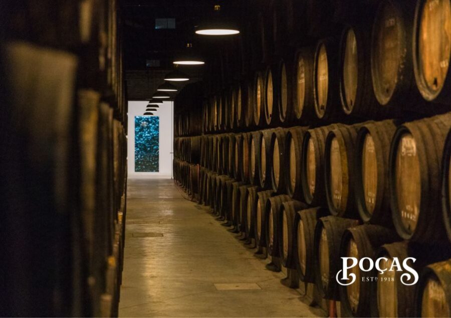 Poças: Guided Tour & Port Wine Tasting with Pastel de Nata - Price and value: why $27 can make sense for Port basics