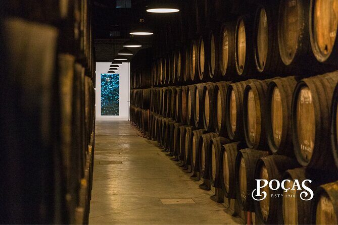 Poças Guided Visit and Wine Tasting of 2 DOC Douro & 1 Port Wine - Key things that make this tour worth your time