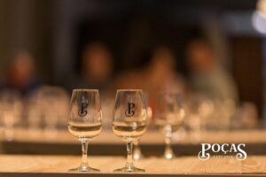 Poças Guided Visit and Wine Tasting of 2 DOC Douro & 1 Port Wine - Stop: the cellar visit at Poças and what you should actually look for