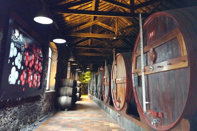 Port Wine Lodges Tour Including 7 Port Wine Tastings (English) - Pacing, Group Size, and What to Bring (Yes, Snacks Matter)