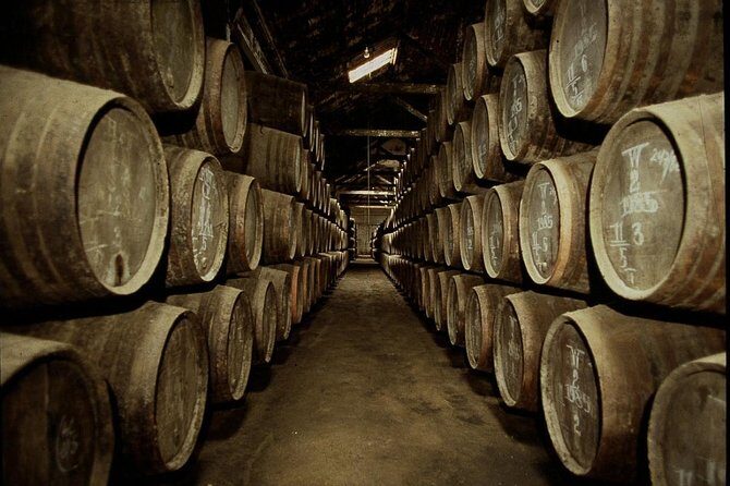 Port Wine Lodges Tour Including 7 Port Wine Tastings (English) - Reserve White and Reserve Tawny: The Big-Producer Stop