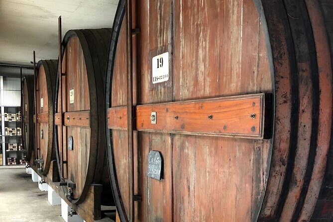 Port Wine Tour | 3 Cellars | 7 Tastings | 12 Participants Maximum - The Guide Makes It: Nuno and David’s Storytelling Style