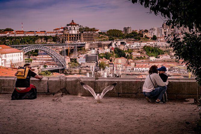 Porto 1/2 Day Walking Photo Tour & Portraits - Price and who it’s best for