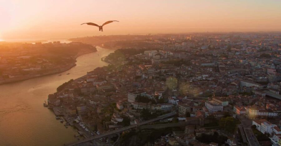 Porto: 5D Flight over de City for all family. - Watching Porto landmarks from above (City Hall, São Bento, Clérigos)