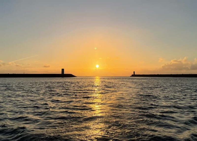 Porto: Best Charming Sailboat Cruise Sunset - Alfândega do Porto: wine, cheese, and real time together