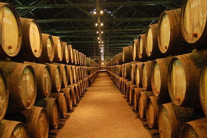 Porto Best-Of Private Tour – A Customizable Experience - Atlantic Coast Viewpoints and the Porto District Break