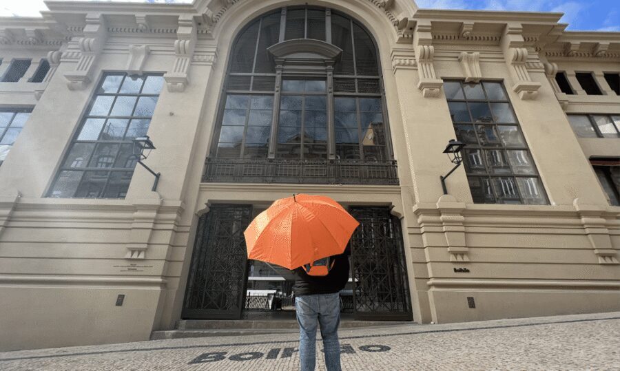 Porto: Bolhão Market Guided Food Tour - The Walk Through Local Commerce: What You Learn Beyond Food
