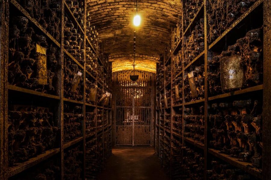 Porto: Carvalhas cellar tour at Real Companhia Velha - Key highlights you should care about