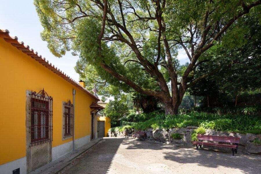 Porto: Casa São Roque Direct Entry Ticket - The winter garden: your best stop inside the house