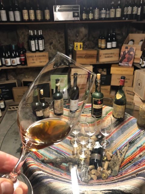Porto: Cheese and Port Wine Tasting in a Unique Place - Key highlights I’d target in this Porto tasting