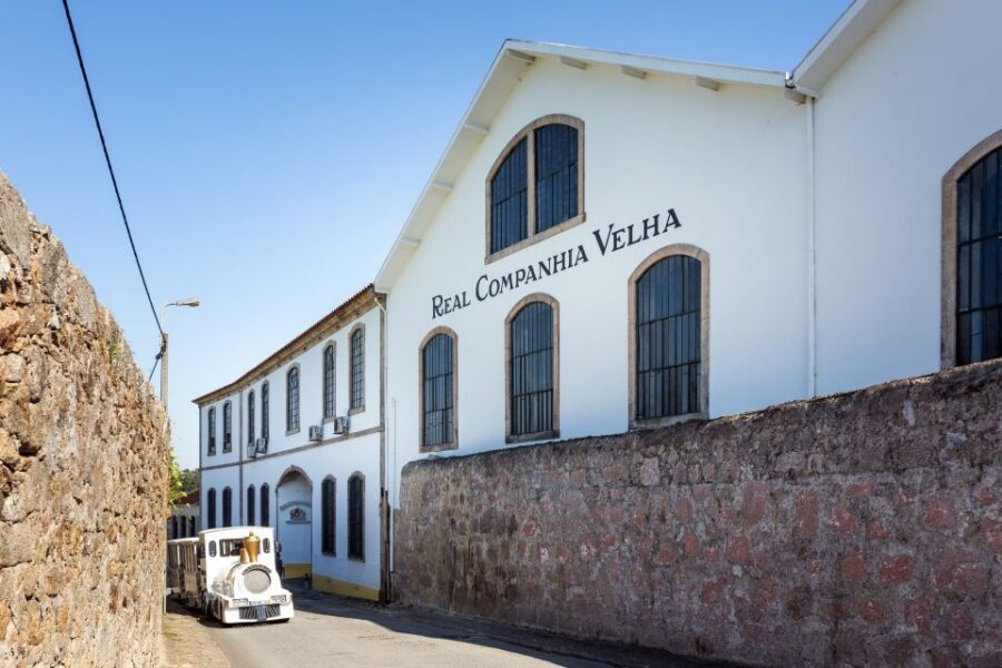 Porto: City Train Tour, River Cruise & Wine Cellar - Value for About $43: Why This Package Can Beat Doing It Piece by Piece