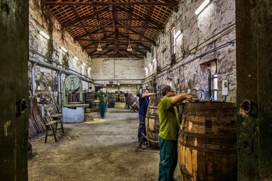 Porto: Cockburn’s Port Lodge Tour and Tasting - Choosing your tasting flight: classic, premium chocolate, tawny, vintage, super premium