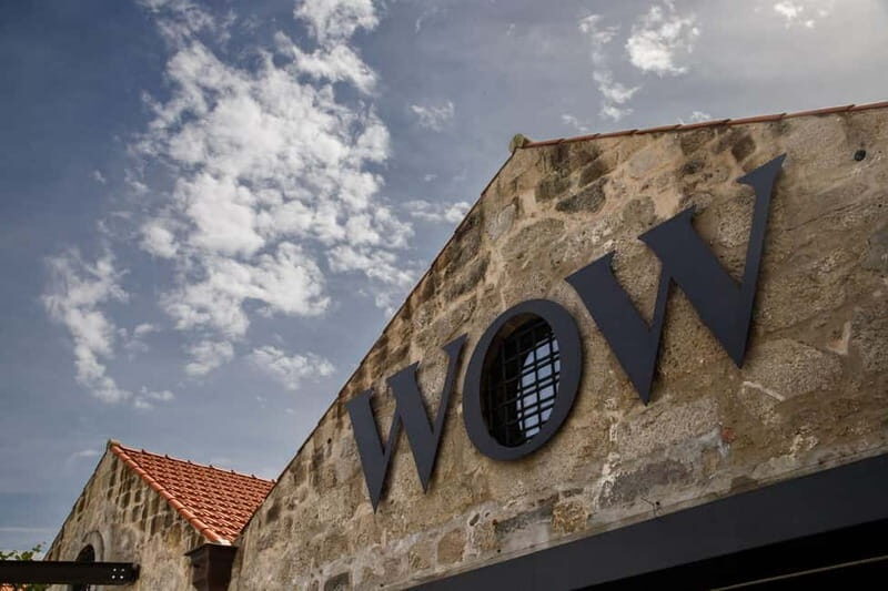 Porto: Combined Ticket for WOW Cultural District - Key highlights at WOW Cultural District (Porto’s wine-and-works tour)