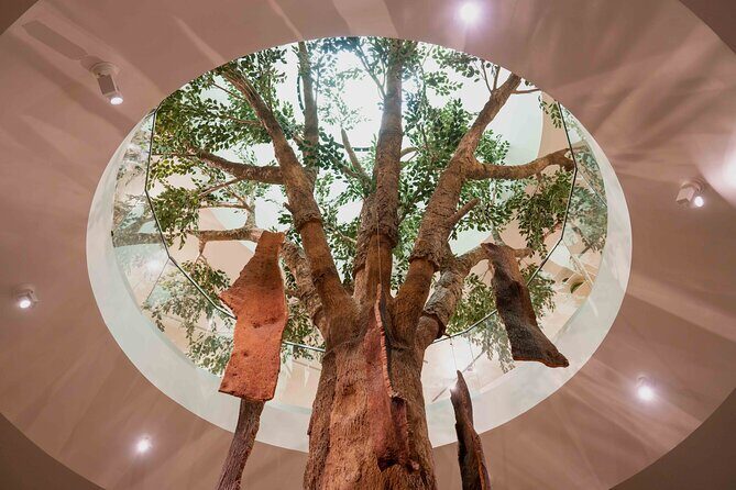Porto: Cork Museum - Interactive and Family Friendly Museum - Family-friendly by design: hands-on learning without the grind