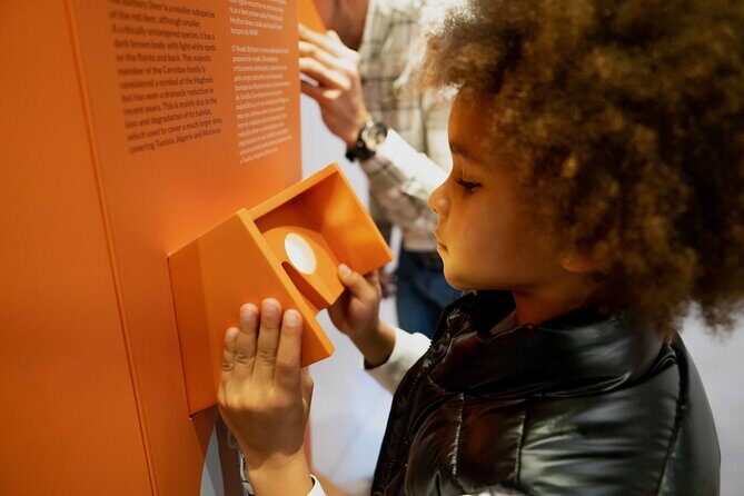 Porto: Cork Museum - Interactive and Family Friendly Museum - Gift shop stop: browse cork products and get help fast