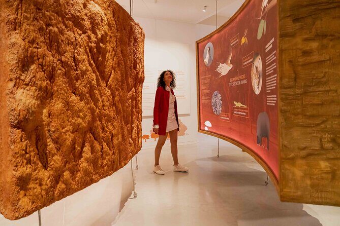 Porto: Cork Museum - Interactive and Family Friendly Museum - The giant cork oak replica: more than a photo backdrop
